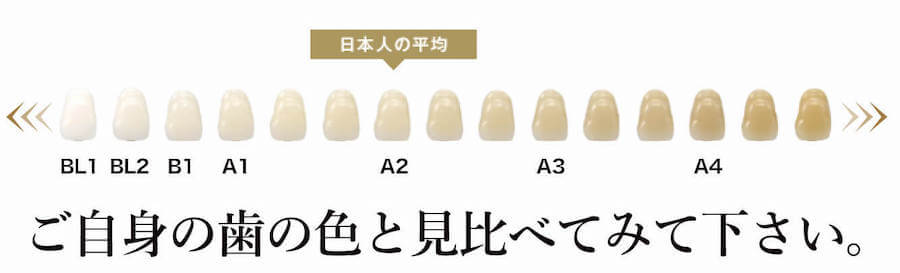 歯のシェードガイド
